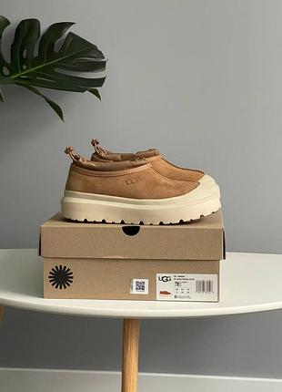 Уггі ugg tasman hybrid chestnut beige 3