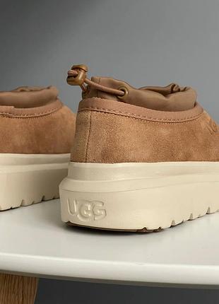 Уггі ugg tasman hybrid chestnut beige 7
