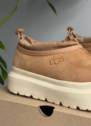 Уггі ugg tasman hybrid chestnut beige 4