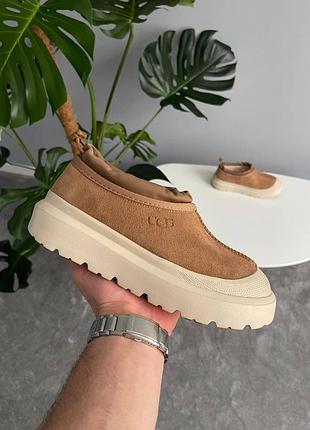 Уггі ugg tasman hybrid chestnut beige