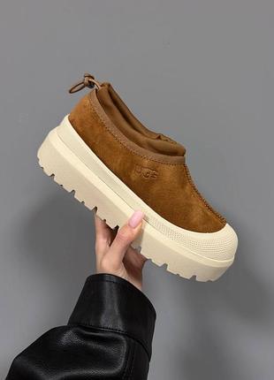 Уггі ugg tasman weather hybrid | chestnut premium
