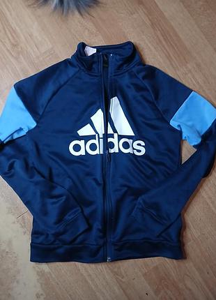 Олімпійка чоловіча adidas синя