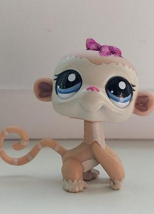 Lps littlest pet shop лпс обезьяна фигурка фигурки игрушки пет шоп петшоп пет шопы петшопы пет шопы петшопы littelest pet shop pets sop