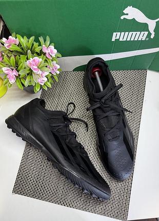 Оригінальні сороконіжки adidas