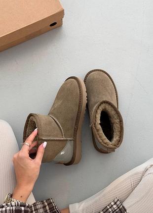 Жіночі уггі ugg classic mini mokko suede🤎 2