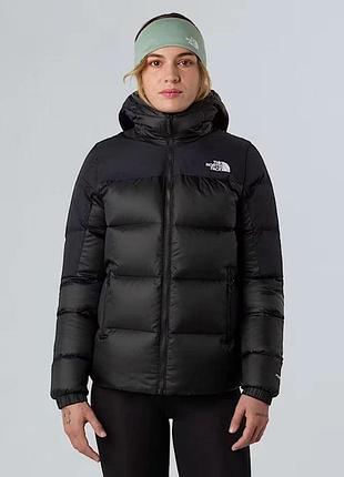 Жіноча куртка пуховик the north face diablo down 2.0  з капюшоном nf0a8e13 розмір: s, m