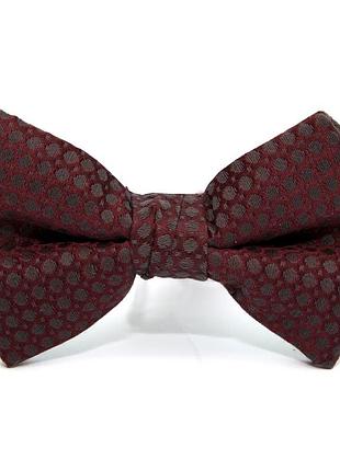 Краватка метелик zara бордовий в горох bzr-9023