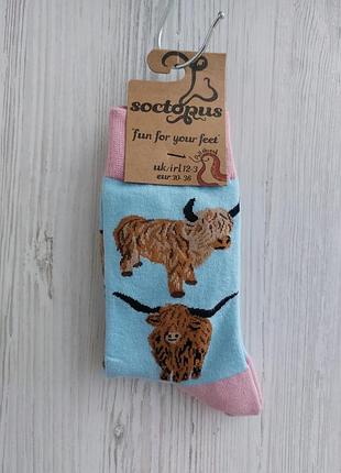 Брендові шкарпетки socktopus