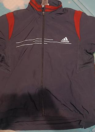 Вітровка чоловіча adidas