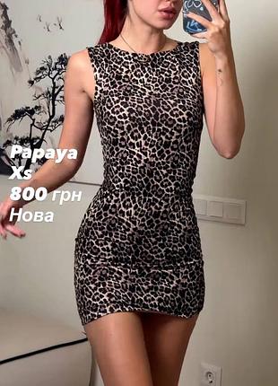 Жіноча коротка сукня papaya леопардова xs