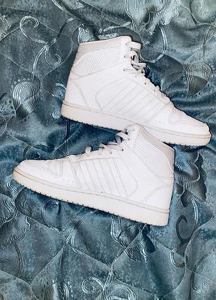 Кросівки adidas 6