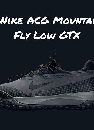 Nike acg mountain fly low gtx dark grey 5