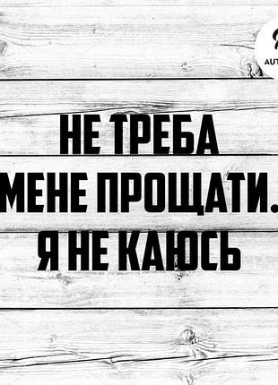 Наліпка на авто машину не треба мене прощати, я не каюсь, 20х11 см чорна