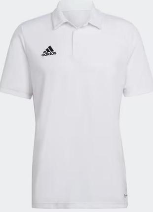 Поло чоловіче adidas entrada 22 polo shirt біле