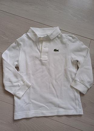 Кофта поло lacoste 2