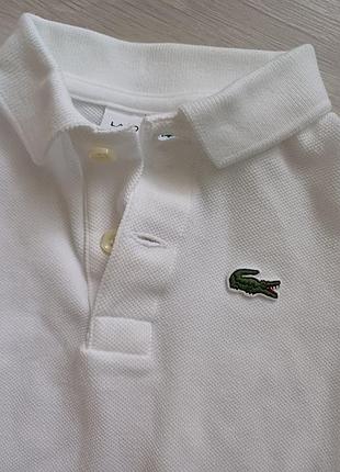 Кофта поло lacoste 4