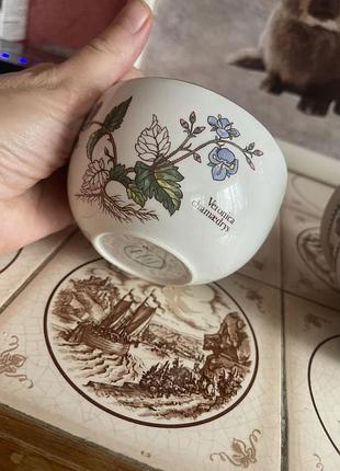 Botanica portmerion посуд 3