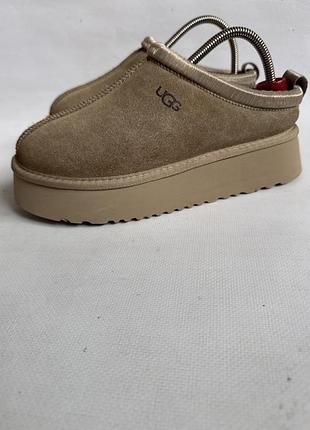 Замшеві ugg