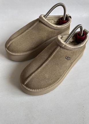 Замшеві ugg 2