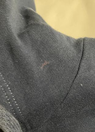 Худі dickies 3