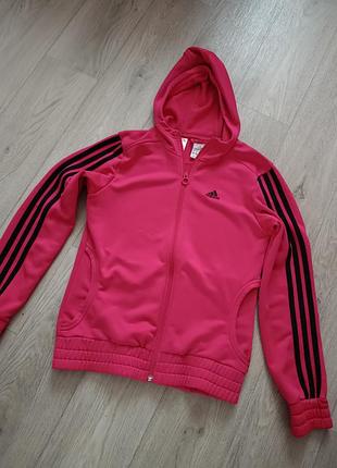 Жіноча спортивна кофта adidas на замку з капюшоном