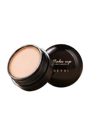 Кремовый плотный консилер корректор для лица heyxi make up clear and flawless (15g)