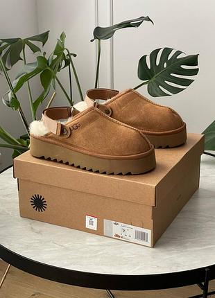 Жіночі зимові угги ugg lanah clog chestnut platform