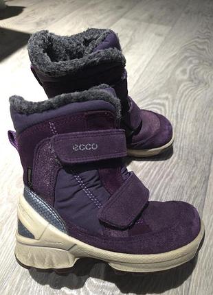 Продам зимние ботинки ecco р. 25 2