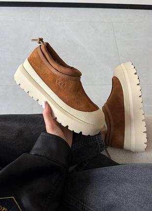 ❄️ женские угги ugg tasman weather hybrid | chestnut premium