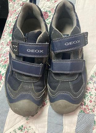 Кросівки р 35/23 см geox джеокс ☔️