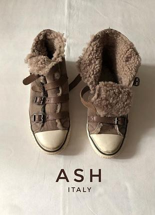 Кеди на овчині ash італія