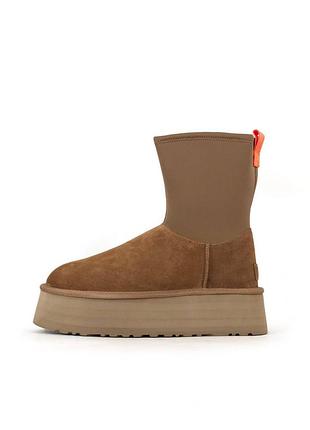 Женские угги ugg dipper boots chestunt beige