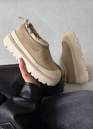 ❄️ жіночі уггі ugg tasman weather hybrid | mustard seed premium