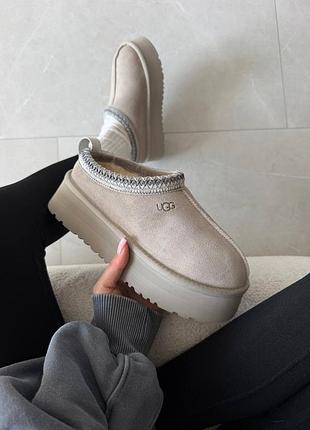 ❄️ жіночі уггі ugg tazz | light grey premium