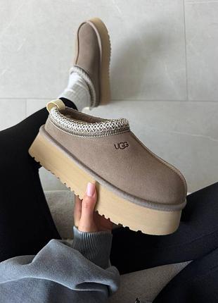 ❄️ женские угги ugg tazz | dried oregano premium