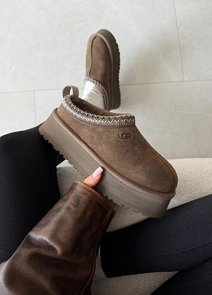 ❄️ жіночі уггі ugg tazz | hickory brown premium