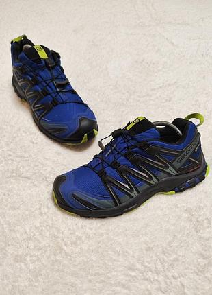 Кроссовки salomon xa pro 3d BSDx gore-tex 42р 27см