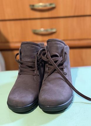 Черевики зимові ecco gore-tex коричневі нові