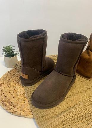 Ugg угги угги сапоги женские сапоги валянки ugg classic short 1016223
