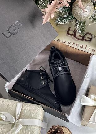 Черевики жіночі ugg black
