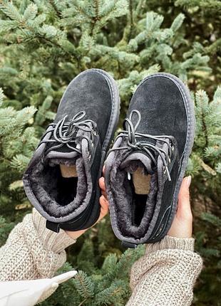 Черевики ugg black замш 3