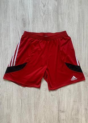 Шорты спортивные adidas climalite размер m