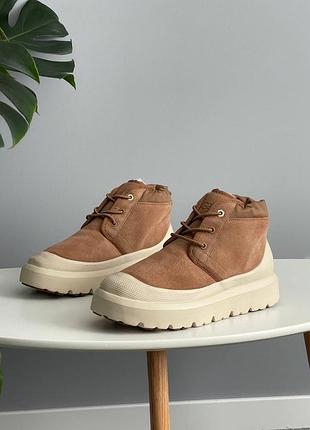 Уггі ugg neumel hybrid chestnut beige 5