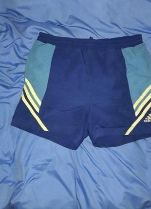 Шорти сині adidas оригінал