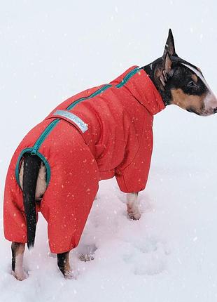 Зимовий комбінезон для собак cold 6xl