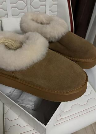 Уггі жіночі ugg замшеві на платформі з хутряним коміром