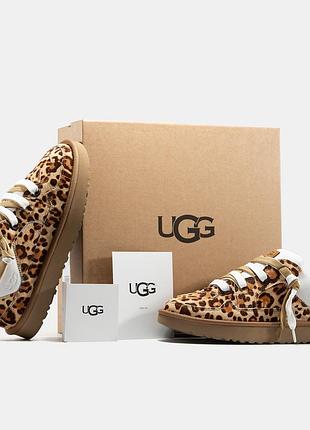 Ugg lowmel 5