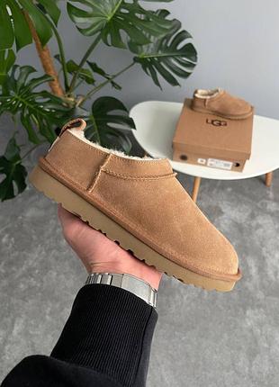 Зимові жіночі угги ugg classic micro chestnut 36-41