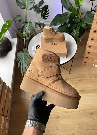 Женские угги ugg neumel platform chukka chestnut зима