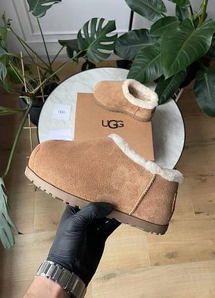 Ugg pumped slide chestnut жіночі зимові тапочки